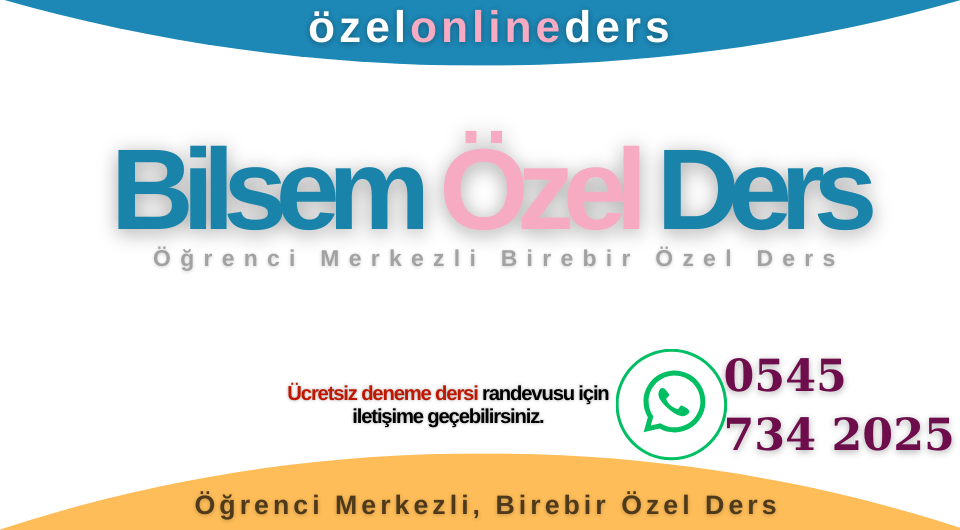 Bilsem Online Kurs Özel Ders